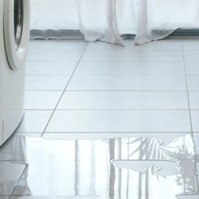 Appliance Leak Cleanup in Branch County, MI