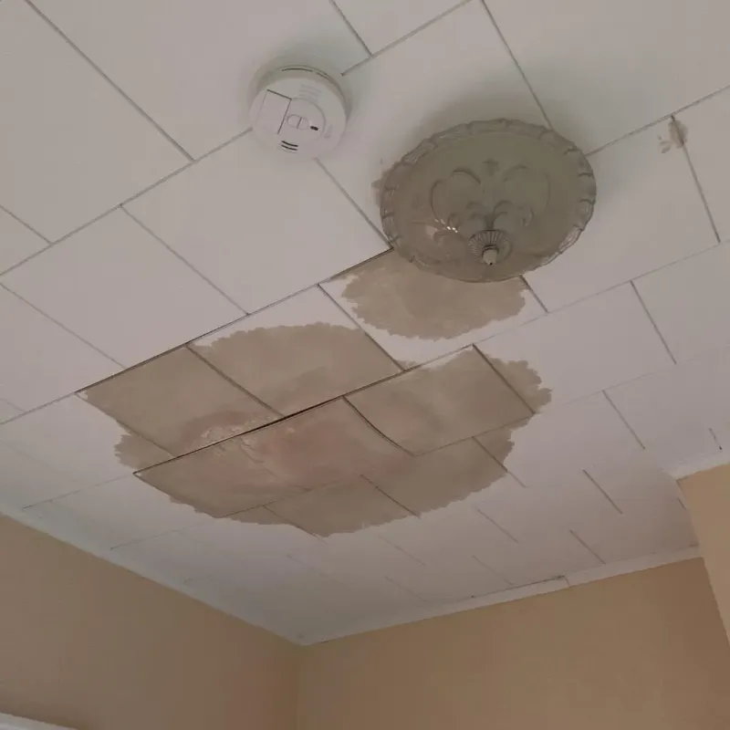 Ceiling Water Damage Repair in Branch County, MI