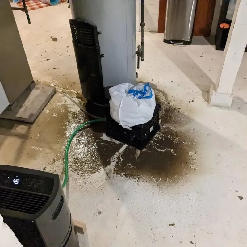 Sewage Backup Cleanup Service in Branch County, MI